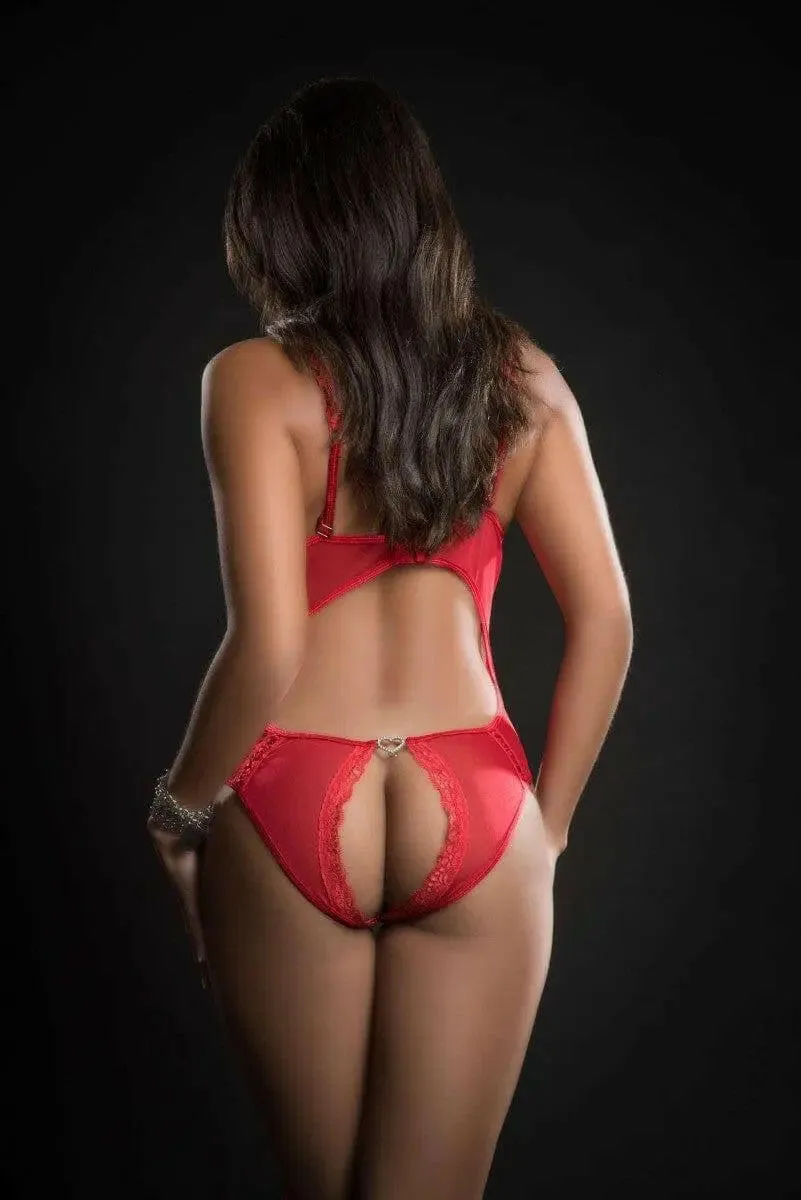 Open Cups Laced Teddy